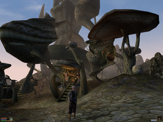 Elder Scrolls III: Morrowind, The